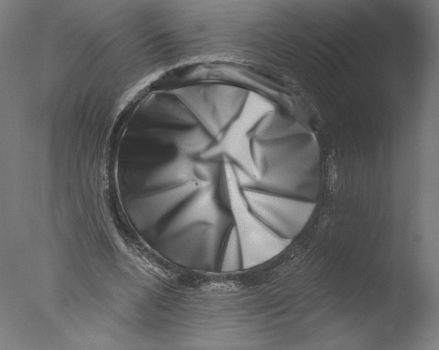 X0000076100536200610202138