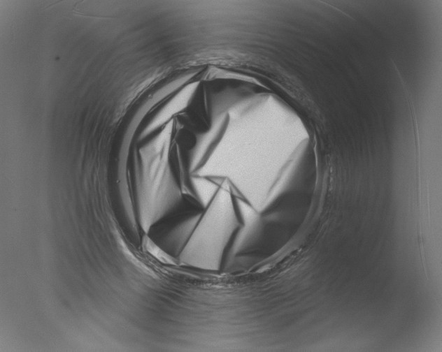 X0000076100538200610202138