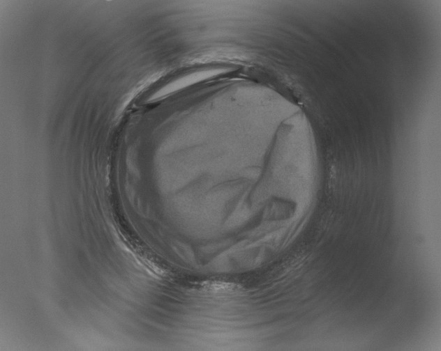 X0000076100539200610202138