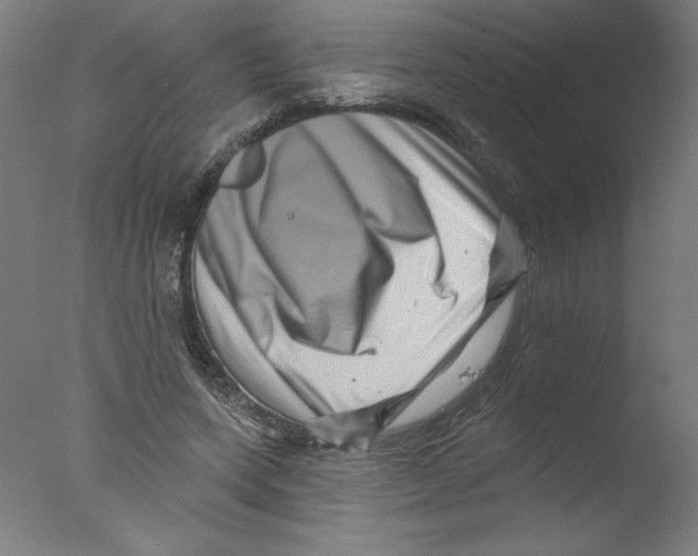 X0000076100543200610202138