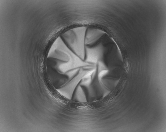 X0000076100544200610202138