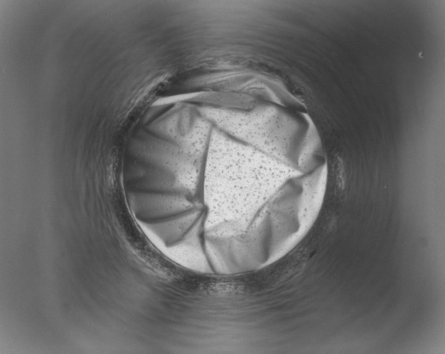 X0000076100546200610202138