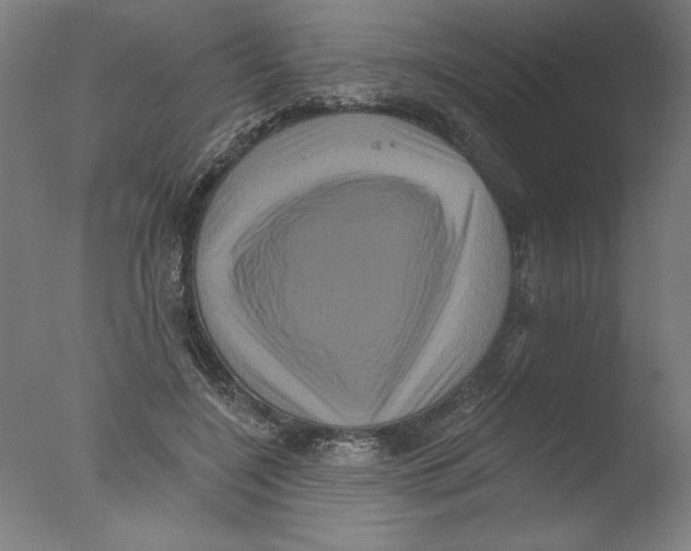 X0000076100548200610202138