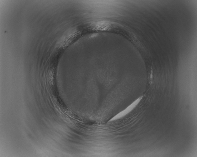 X0000076100551200610202138