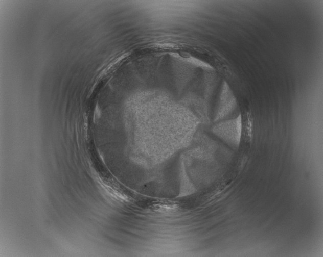 X0000076100552200610202138