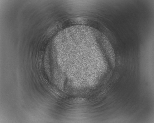 X0000076100553200610202138