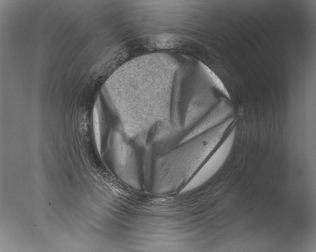 X0000076100555200610202138
