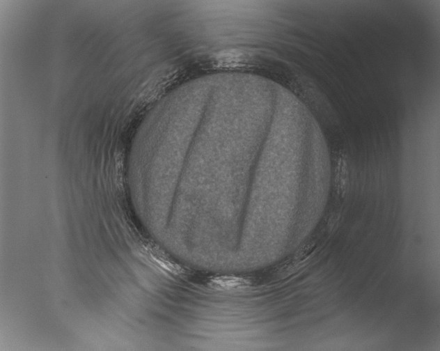 X0000076100557200610202138