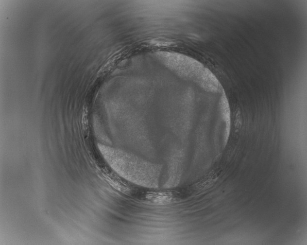 X0000076100559200610202138