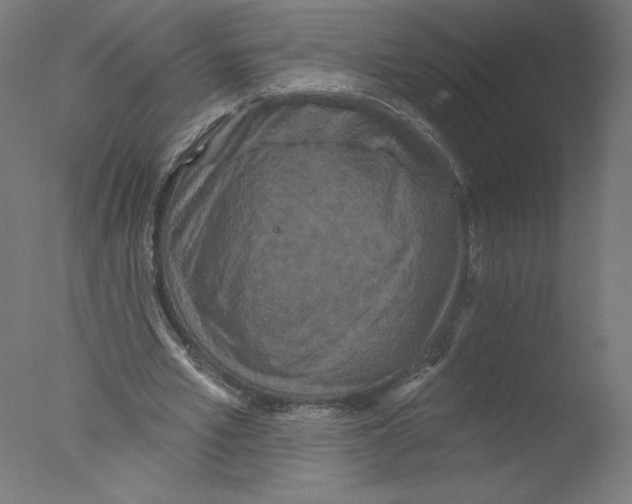 X0000076100581200610202138