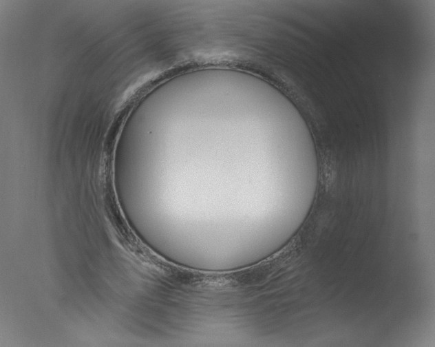 X0000076100583200610202138