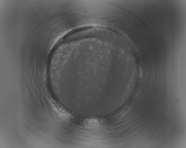 X0000076100588200610202138