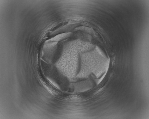 X0000076100589200610202138