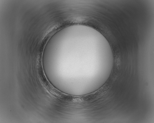 X0000076100591200610202138
