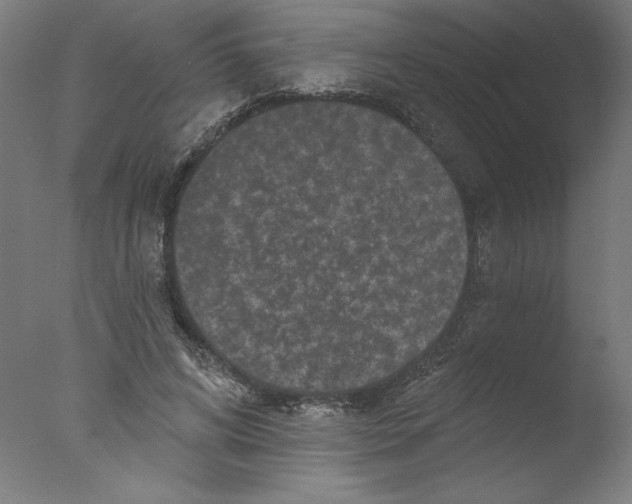 X0000076100592200610202138