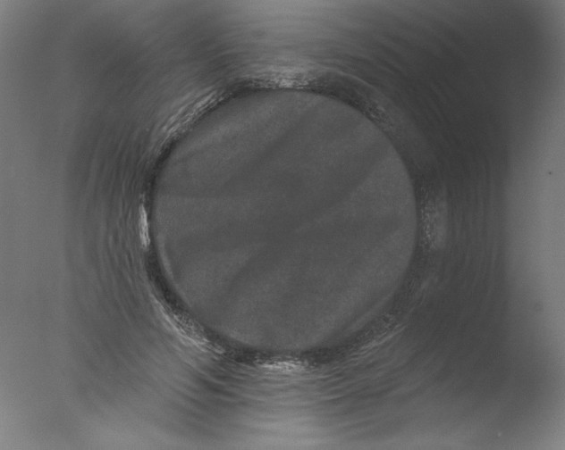 X0000076100594200610202138