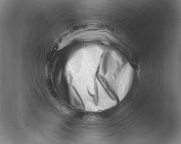 X0000076100597200610202138