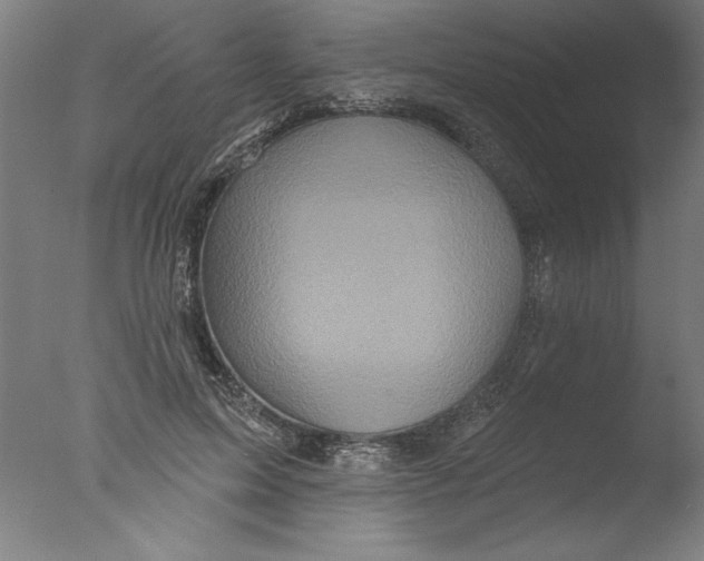 X0000076100599200610202138