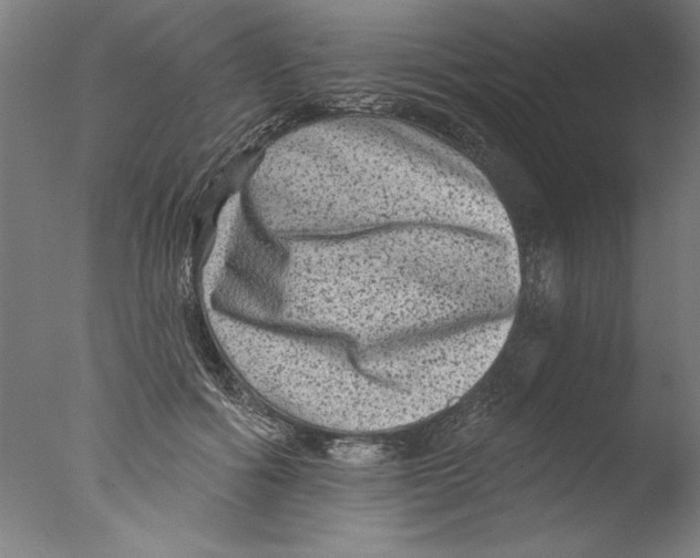 X0000076100602200610202137
