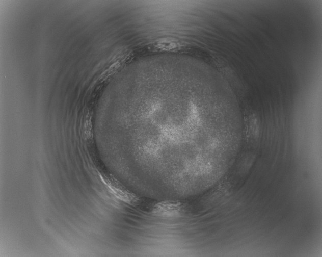 X0000076100606200610202137