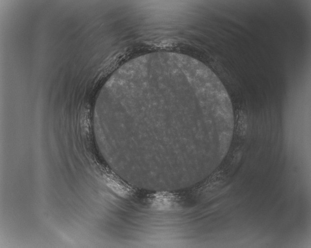 X0000076100612200610202137