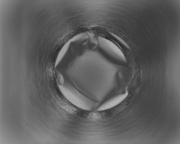 X0000076100613200610202137