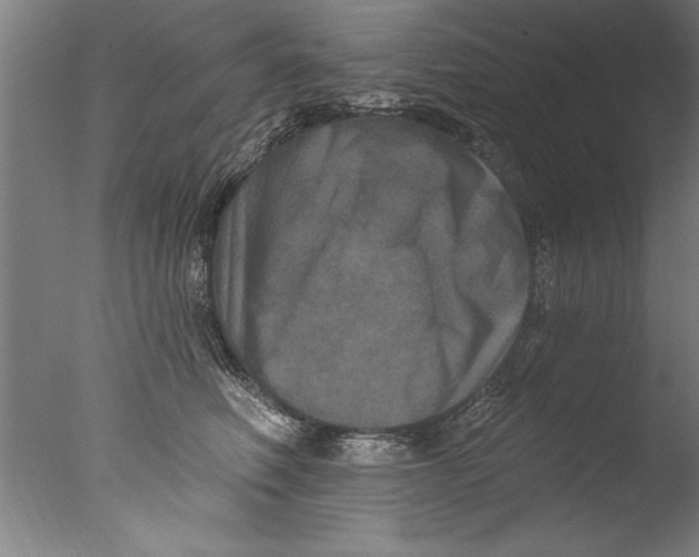 X0000076100614200610202137