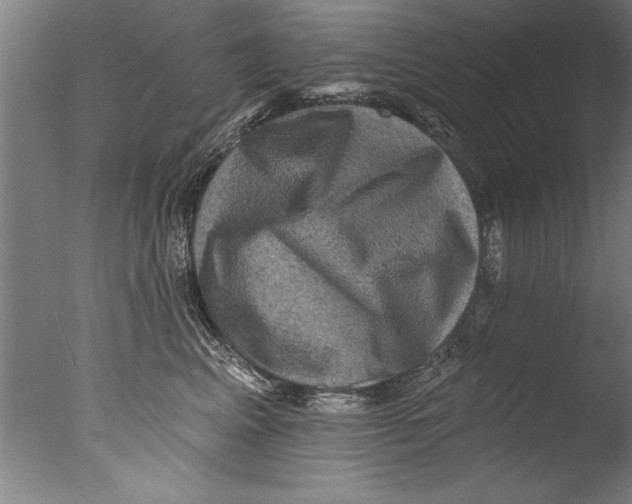 X0000076100617200610202137