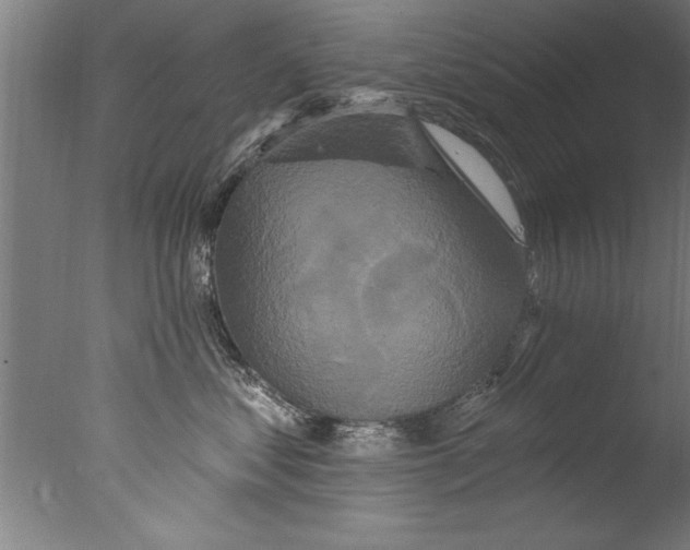 X0000076100621200610202137