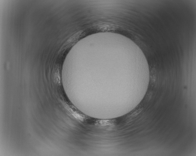 X0000076100622200610202137