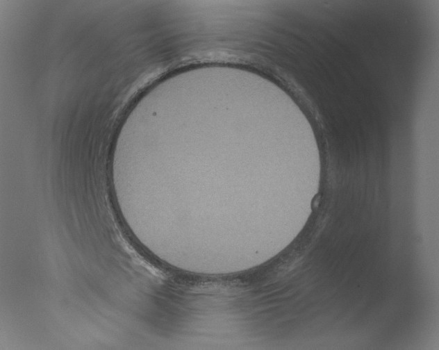 X0000076100625200610202136