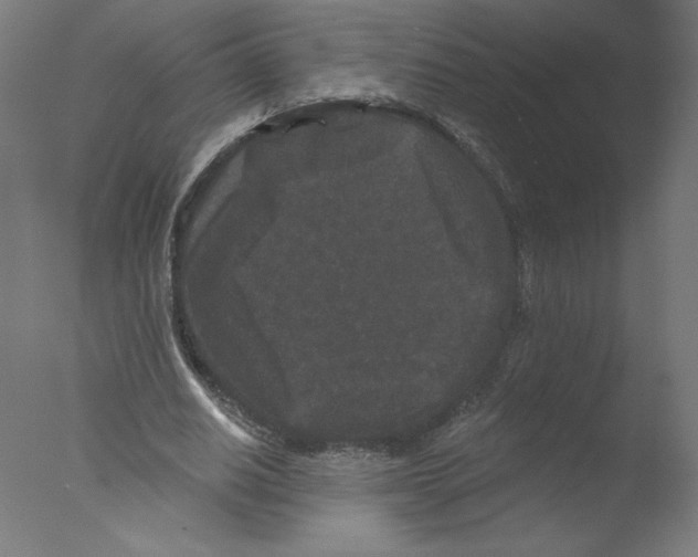 X0000076100630200610202136