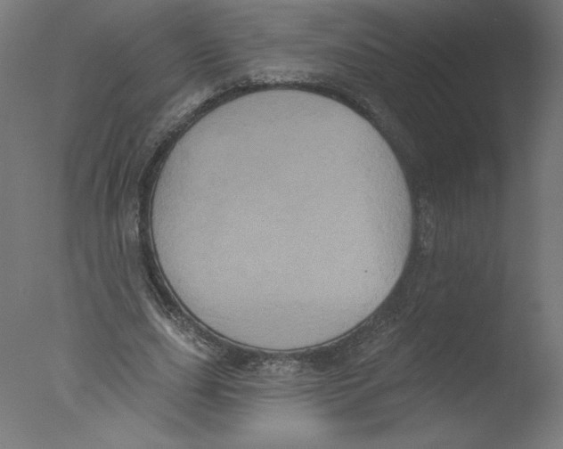 X0000076100631200610202136