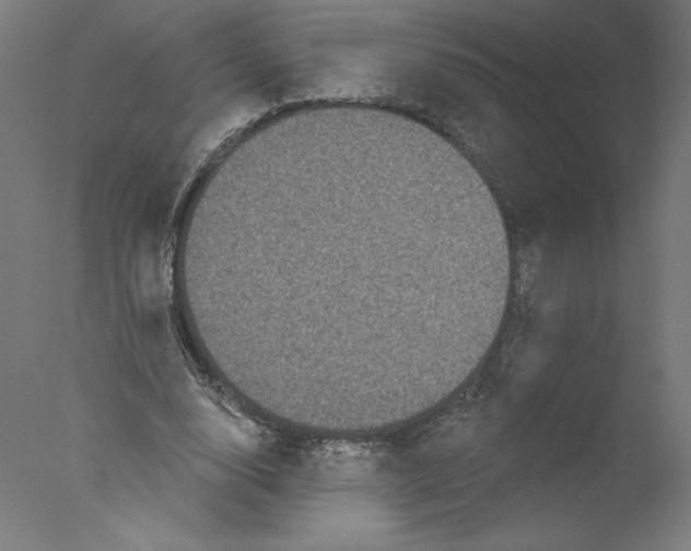 X0000076100632200610202136