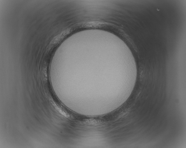 X0000076100633200610202136