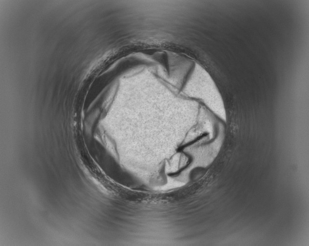 X0000076100634200610202136