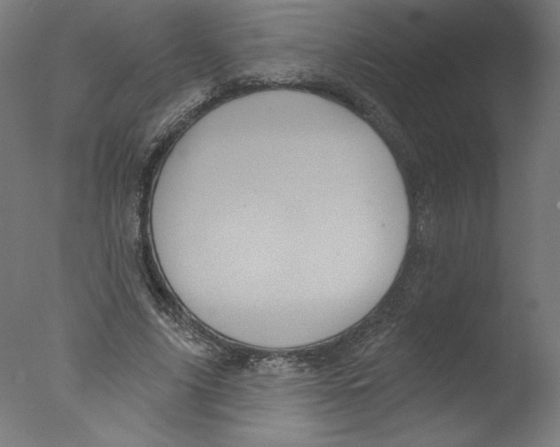 X0000076100635200610202136