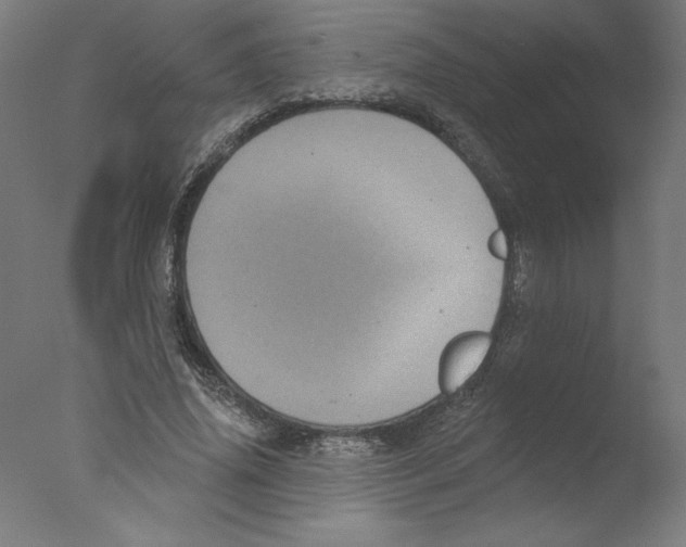 X0000076100636200610202136