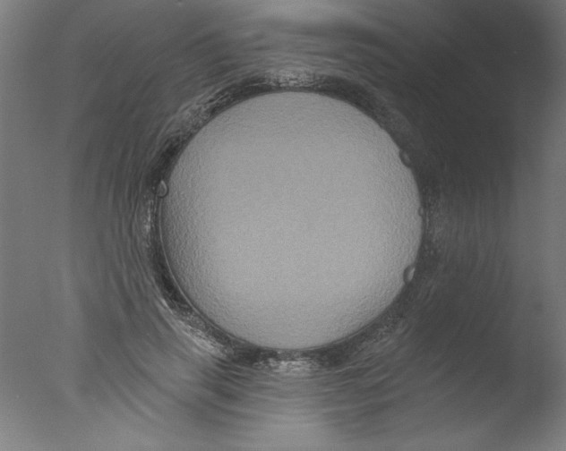 X0000076100645200610202137