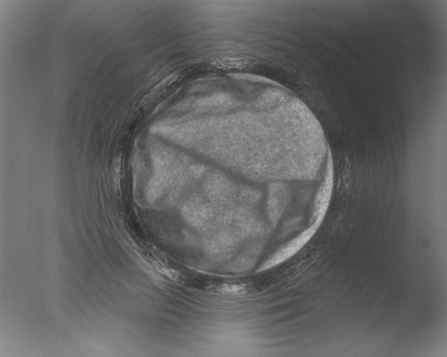 X0000076100647200610202137