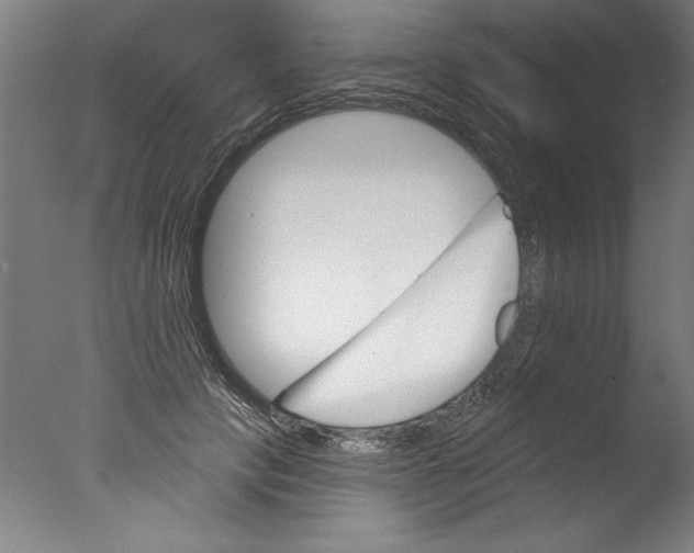 X0000076100649200610202137