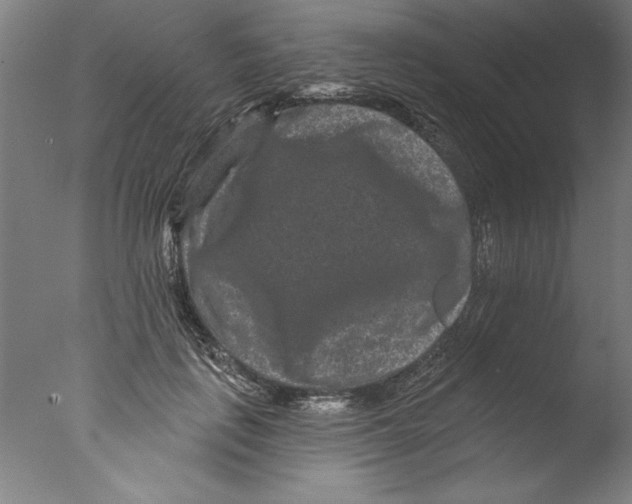 X0000076100651200610202137