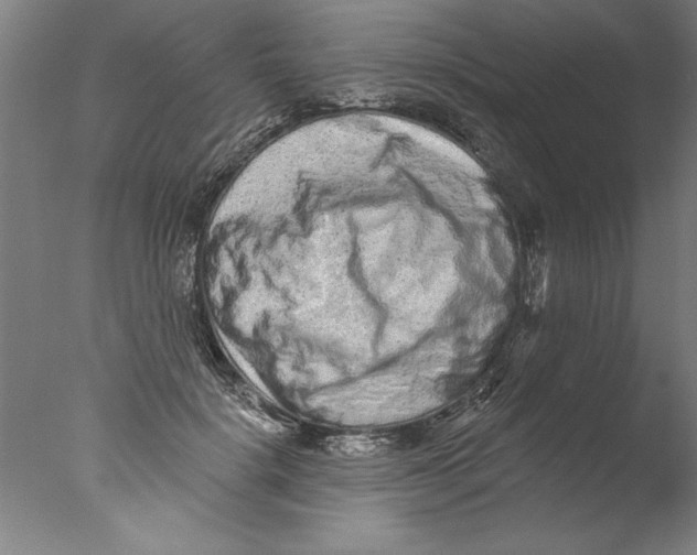 X0000076100652200610202137