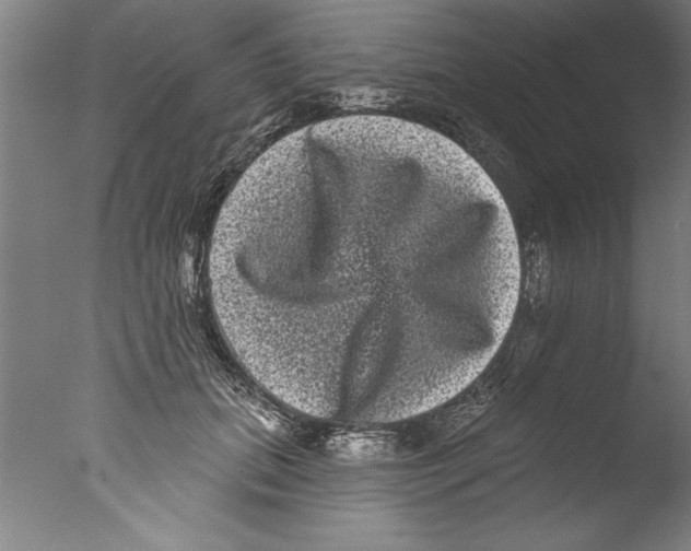 X0000076100655200610202137