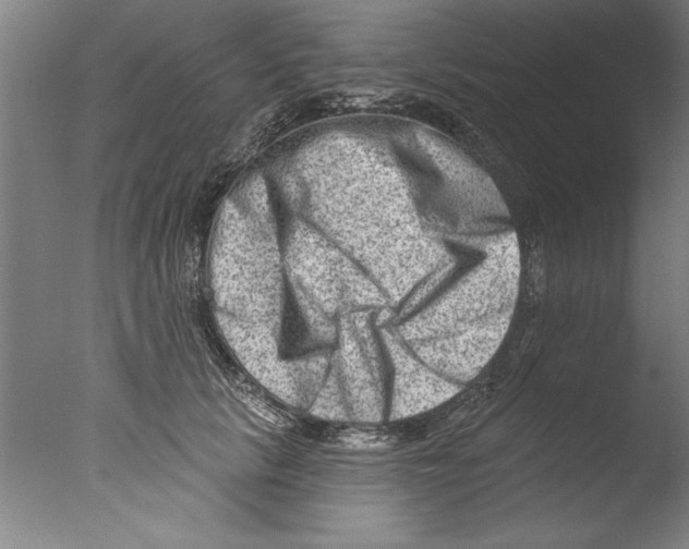 X0000076100657200610202137