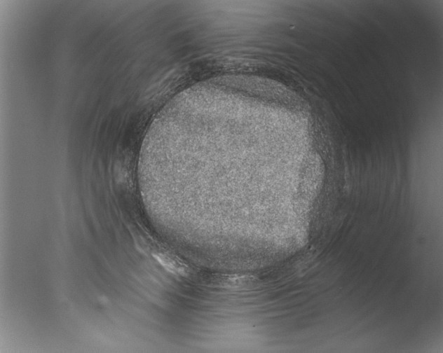 X0000076100663200610202137