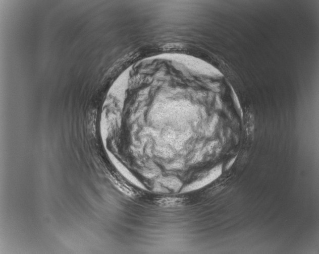 X0000076100664200610202137