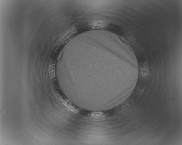 X0000076100666200610202137