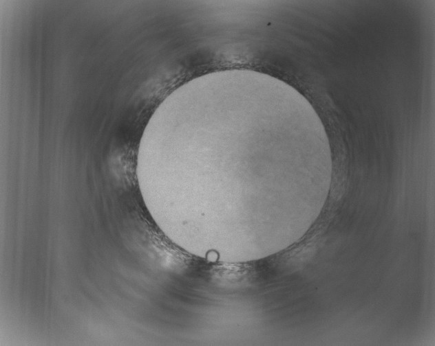 X0000076100672200610202137