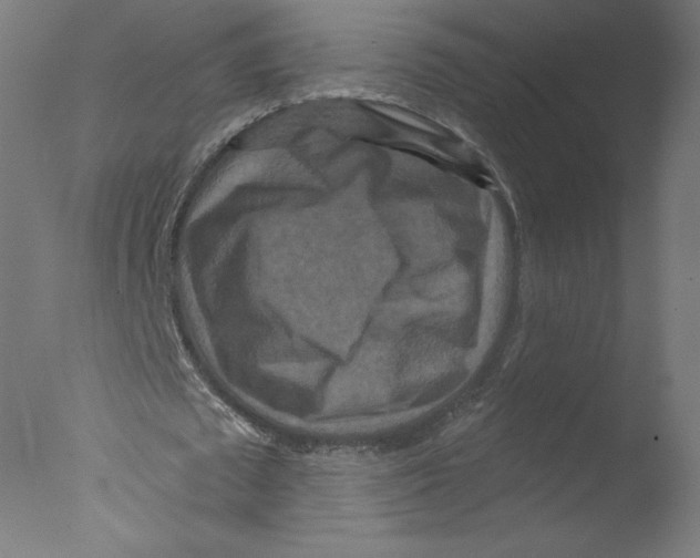 X0000076100673200610202136